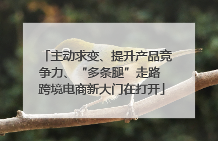 主动求变、提升产品竞争力、“多条腿”走路 跨境电商新大门在打开