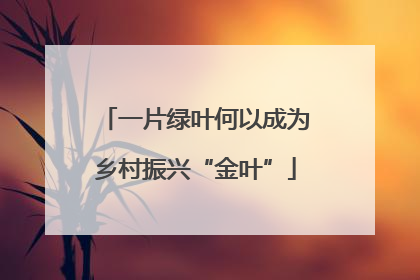 一片绿叶何以成为乡村振兴“金叶”
