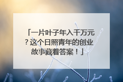 一片叶子年入千万元？这个日照青年的创业故事藏着答案！