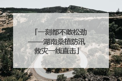 一刻都不敢松劲——湖南桑植防汛救灾一线直击