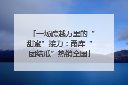 一场跨越万里的“甜蜜”接力：甬库“团结瓜”热销全国