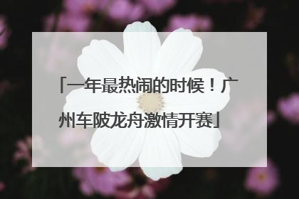 一年最热闹的时候！广州车陂龙舟激情开赛