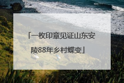一枚印章见证山东安陵88年乡村蝶变