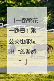 一路繁花一路景！乘公交也能玩出“旅游感”