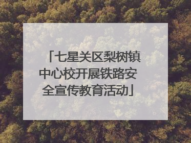 七星关区梨树镇中心校开展铁路安全宣传教育活动