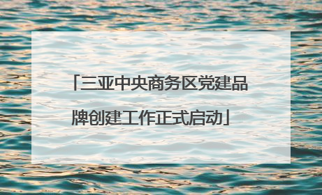三亚中央商务区党建品牌创建工作正式启动