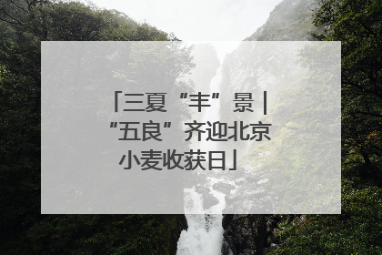 三夏“丰”景｜“五良”齐迎北京小麦收获日