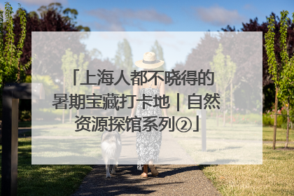 上海人都不晓得的 暑期宝藏打卡地｜自然资源探馆系列②