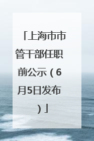 上海市市管干部任职前公示（6月5日发布）