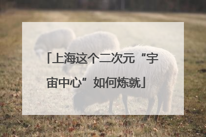 上海这个二次元“宇宙中心”如何炼就