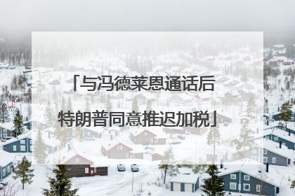 与冯德莱恩通话后 特朗普同意推迟加税