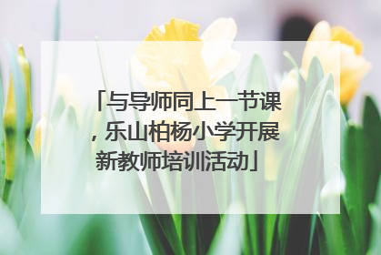 与导师同上一节课，乐山柏杨小学开展新教师培训活动