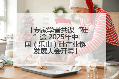 专家学者共谋“硅”途 2025年中国（乐山）硅产业链发展大会开幕