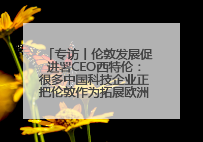 专访丨伦敦发展促进署CEO西特伦：很多中国科技企业正把伦敦作为拓展欧洲市场的门户