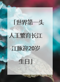 世界第一头人工繁育长江江豚迎20岁生日