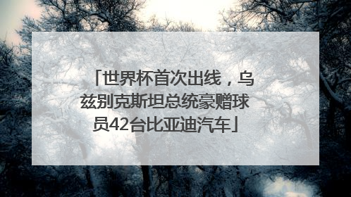 世界杯首次出线，乌兹别克斯坦总统豪赠球员42台比亚迪汽车