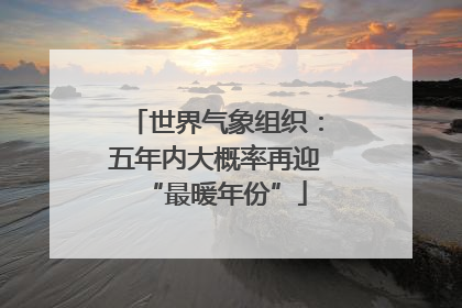 世界气象组织：五年内大概率再迎“最暖年份”
