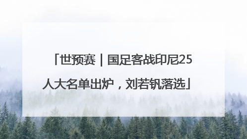 世预赛｜国足客战印尼25人大名单出炉，刘若钒落选