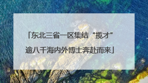东北三省一区集结“揽才” 逾八千海内外博士奔赴而来