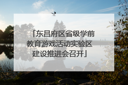 东昌府区省级学前教育游戏活动实验区建设推进会召开