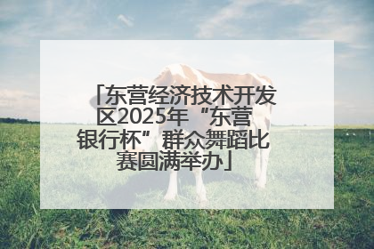东营经济技术开发区2025年“东营银行杯”群众舞蹈比赛圆满举办