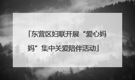 东营区妇联开展“爱心妈妈”集中关爱陪伴活动