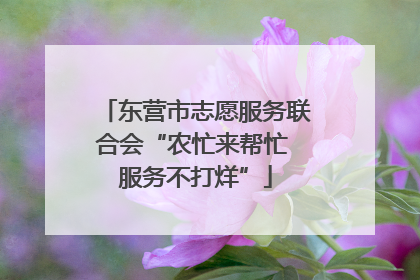东营市志愿服务联合会“农忙来帮忙 服务不打烊”