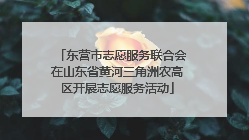 东营市志愿服务联合会在山东省黄河三角洲农高区开展志愿服务活动