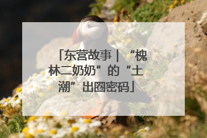 东营故事｜“槐林二奶奶”的“土潮”出圈密码
