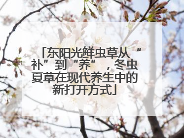 东阳光鲜虫草从“补”到“养”，冬虫夏草在现代养生中的新打开方式