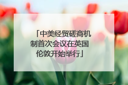 中美经贸磋商机制首次会议在英国伦敦开始举行