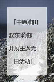 中原油田濮东采油厂开展主题党日活动