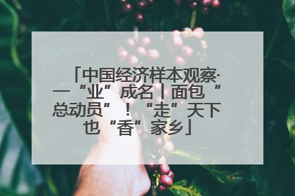 中国经济样本观察·一“业”成名丨面包“总动员”！“走”天下也“香”家乡