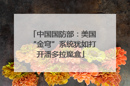 中国国防部：美国“金穹”系统犹如打开潘多拉魔盒