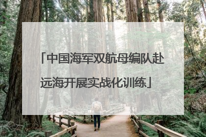 中国海军双航母编队赴远海开展实战化训练