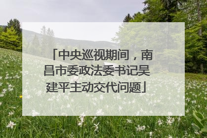 中央巡视期间，南昌市委政法委书记吴建平主动交代问题