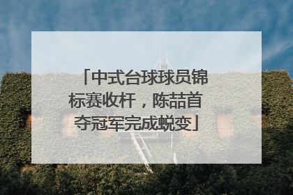 中式台球球员锦标赛收杆，陈喆首夺冠军完成蜕变