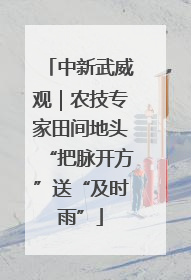 中新武威观｜农技专家田间地头“把脉开方”送“及时雨”