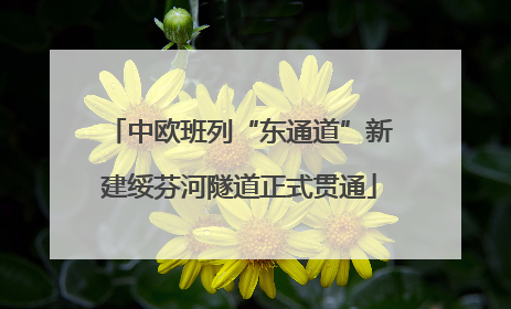 中欧班列“东通道”新建绥芬河隧道正式贯通