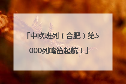 中欧班列（合肥）第5000列鸣笛起航！