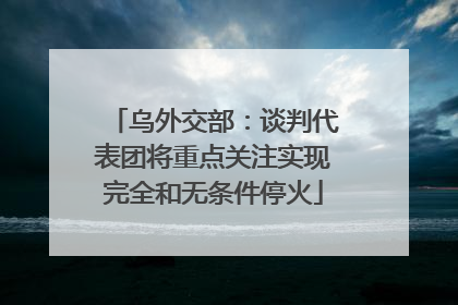 乌外交部：谈判代表团将重点关注实现完全和无条件停火