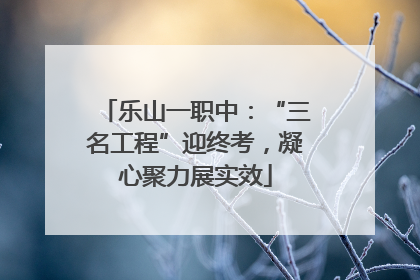 乐山一职中：“三名工程”迎终考，凝心聚力展实效