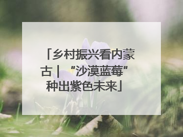 乡村振兴看内蒙古｜“沙漠蓝莓”种出紫色未来
