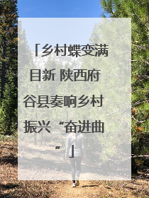乡村蝶变满目新 陕西府谷县奏响乡村振兴“奋进曲”