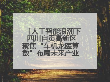 人工智能浪潮下 四川自贡高新区聚焦“车机龙医算数”布局未来产业丨美好生活有“盐”味