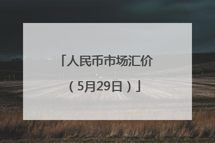 人民币市场汇价（5月29日）