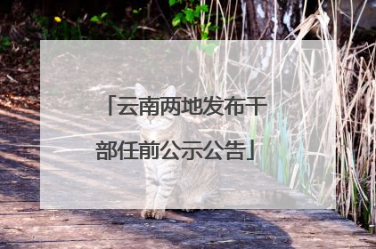 云南两地发布干部任前公示公告