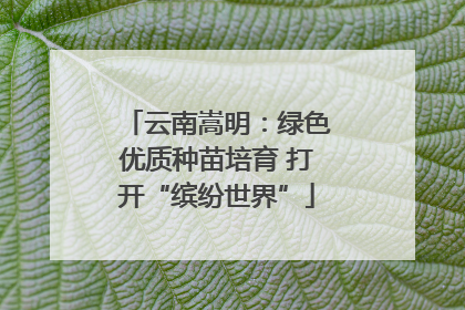 云南嵩明：绿色优质种苗培育 打开“缤纷世界”