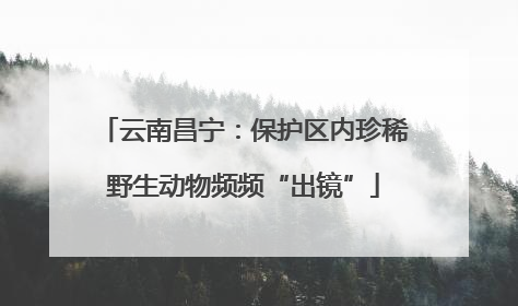云南昌宁：保护区内珍稀野生动物频频“出镜”