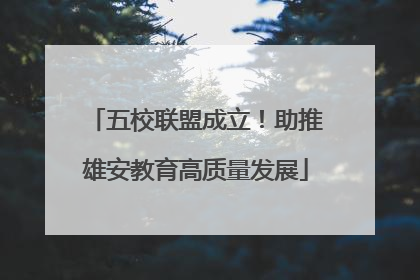 五校联盟成立！助推雄安教育高质量发展